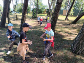 Прогулка в сосновый бор Прогулка в сосновый бор.
