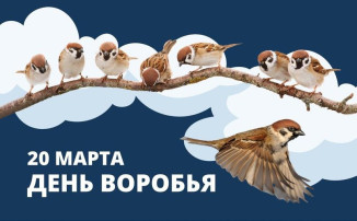 День воробья! День воробья!.